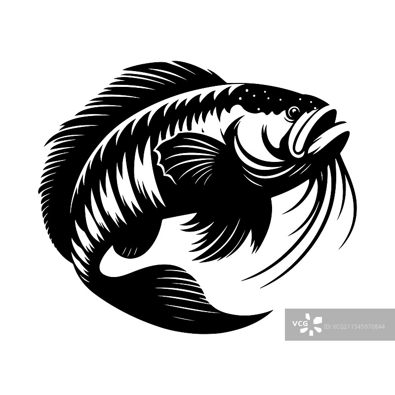 巨型虎鱼剪影 - 高质量图片素材