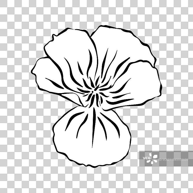黑白线条的罂粟花图案图片素材