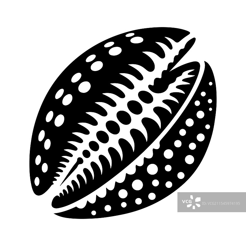 独特的斑点海螺壳 - 高分辨率图片素材