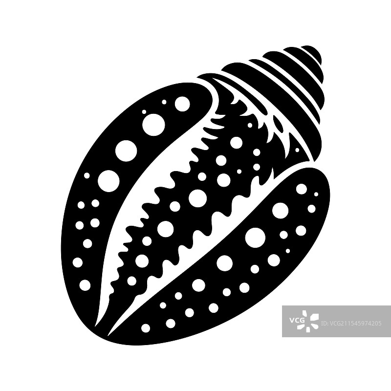 独特的斑点海螺壳 - 高分辨率图片素材