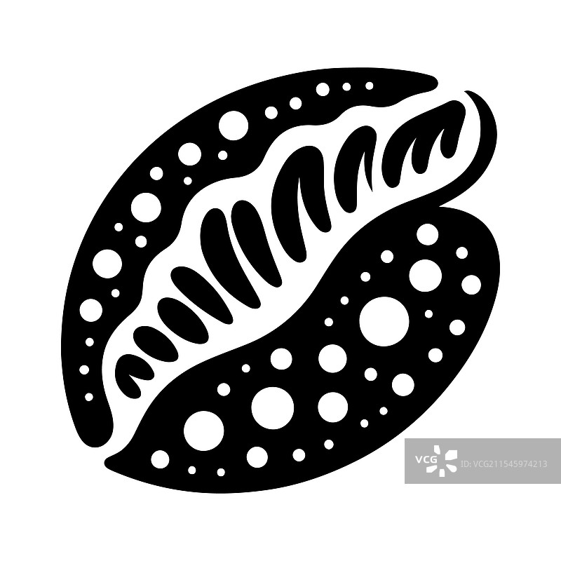 独特的斑点海螺壳 - 高分辨率图片素材