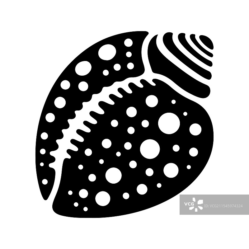 独特的斑点海螺壳 - 高分辨率图片素材