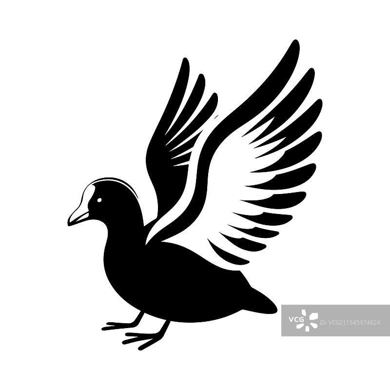 白翅水鸡剪影，适合惊艳设计图片素材