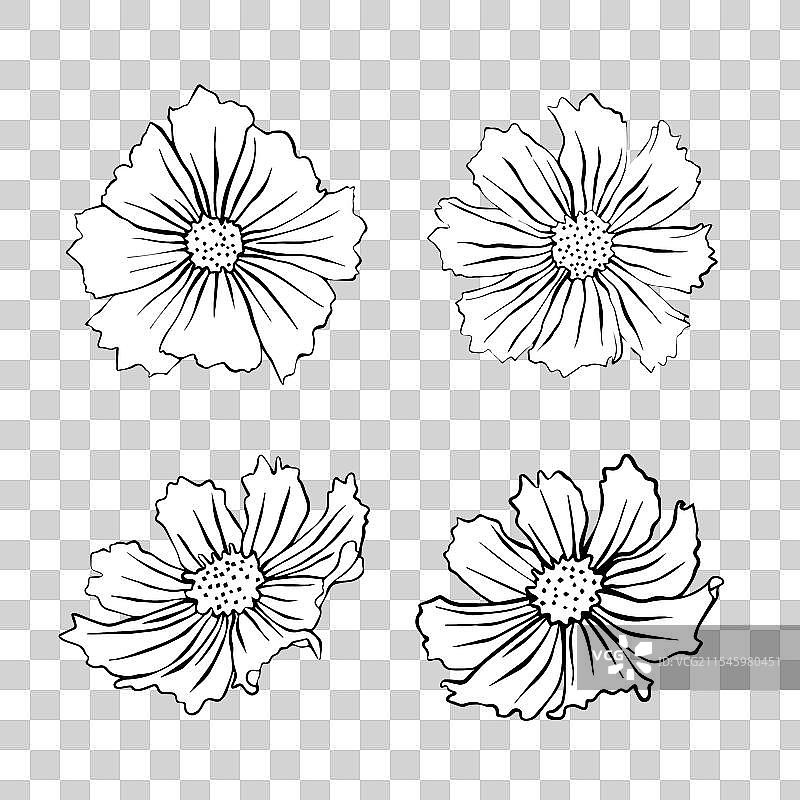 一组宇宙花图片素材