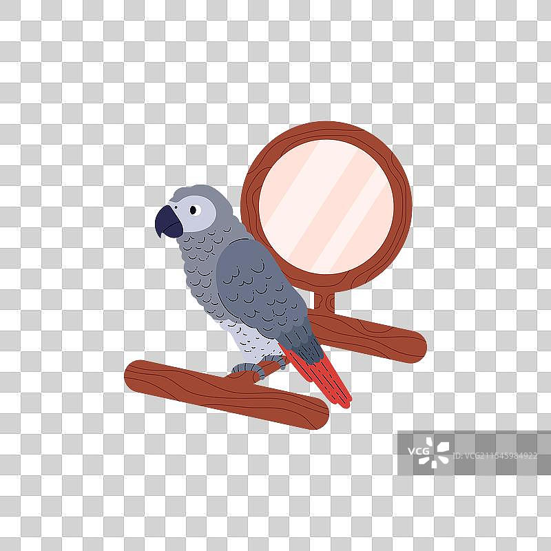 卡通的雅克鹦鹉坐在带环的木制玩具上图片素材