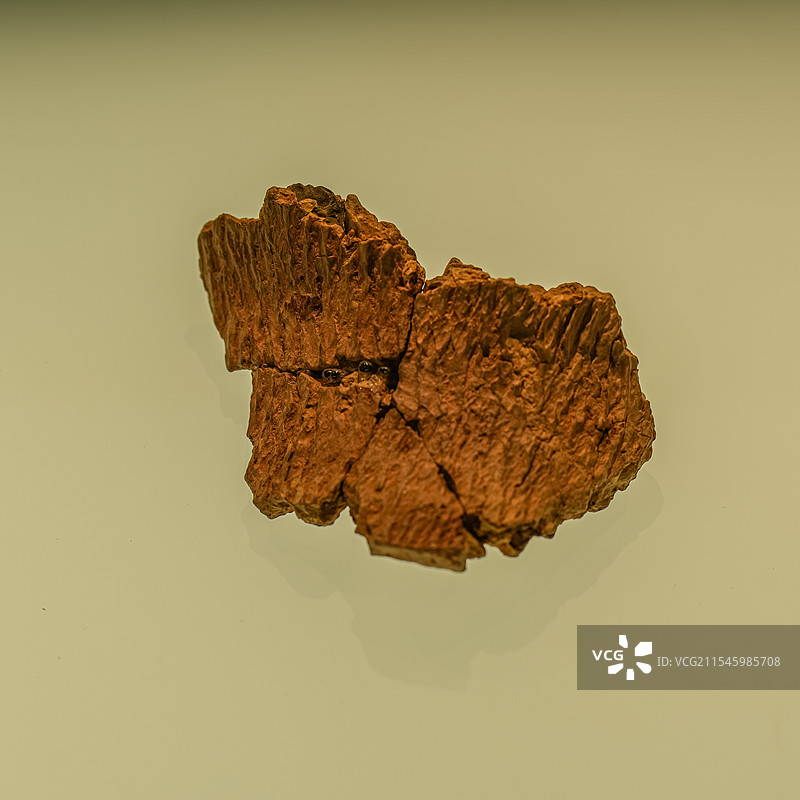 陶片 距今约20000年 已知最早陶容器 江西省万年县仙人洞遗址出土 江西省文物考古研究院图片素材