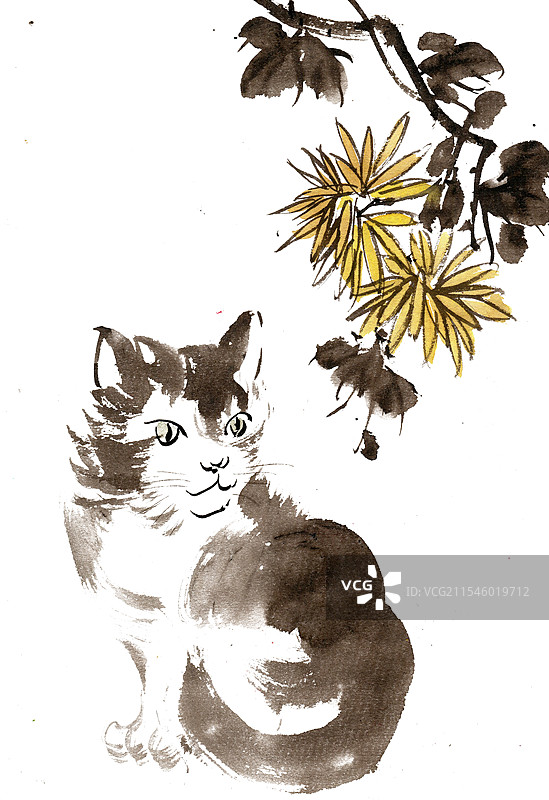 菊花下的小猫图片素材