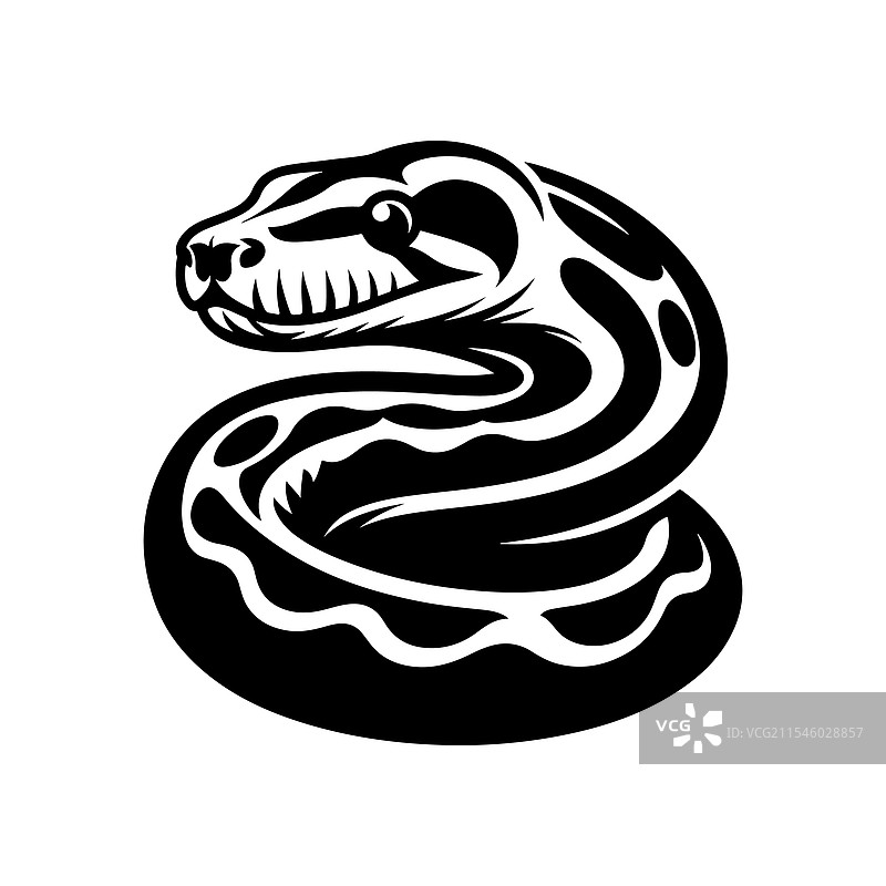 惊艳的蟒蛇剪影图片素材