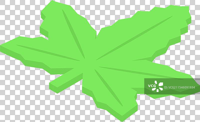 绿色枫叶在等轴视图中旋转图片素材
