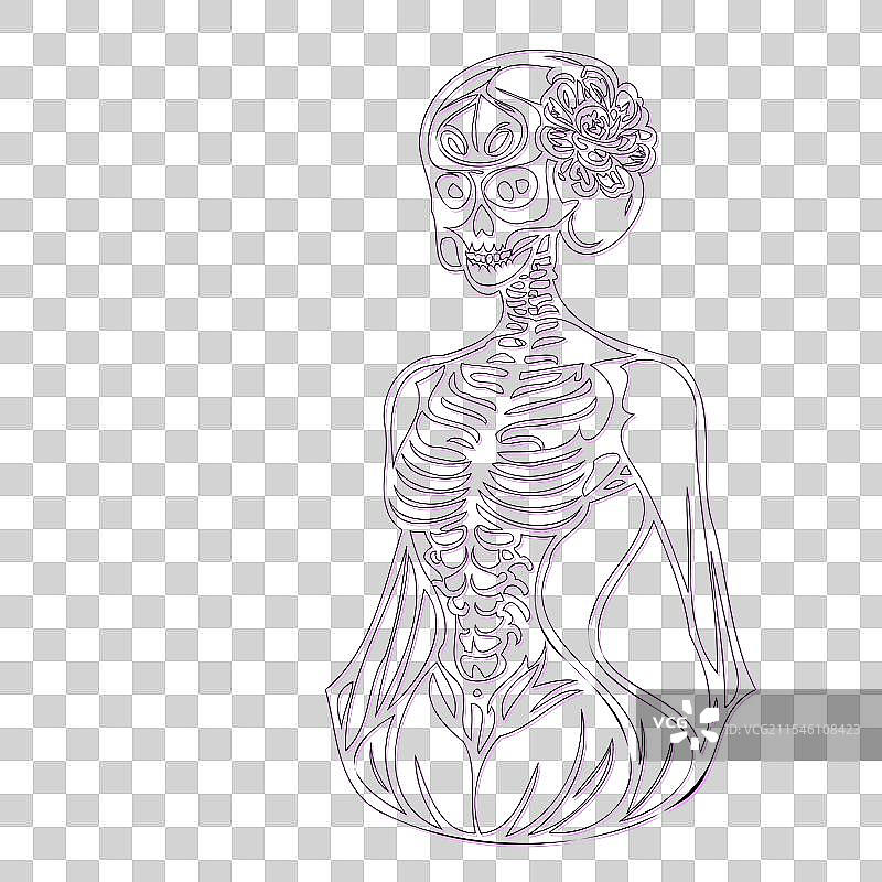 紫色骨女孩轮廓草图图片素材