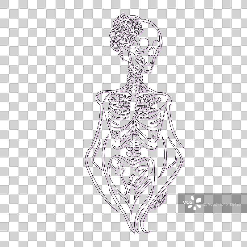 紫色骨女孩轮廓草图图片素材