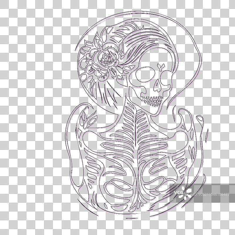 紫色骨女孩轮廓草图图片素材