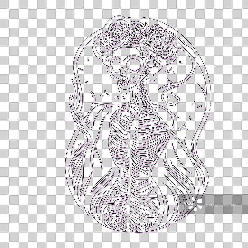 紫色骨女孩轮廓草图图片素材