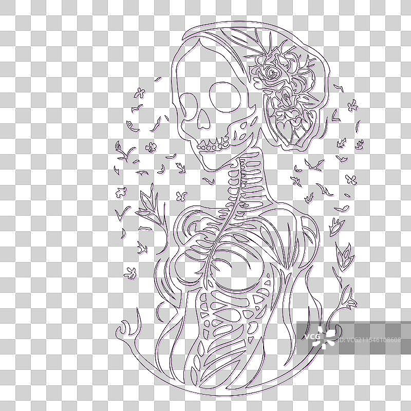 紫色骨女孩轮廓草图图片素材