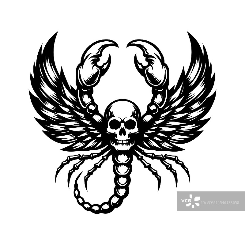 带有骷髅轮廓的黑暗蝎子翅膀图片素材