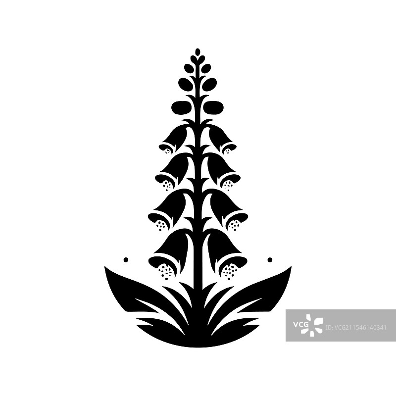 美丽的毛地黄剪影野花图形图片素材