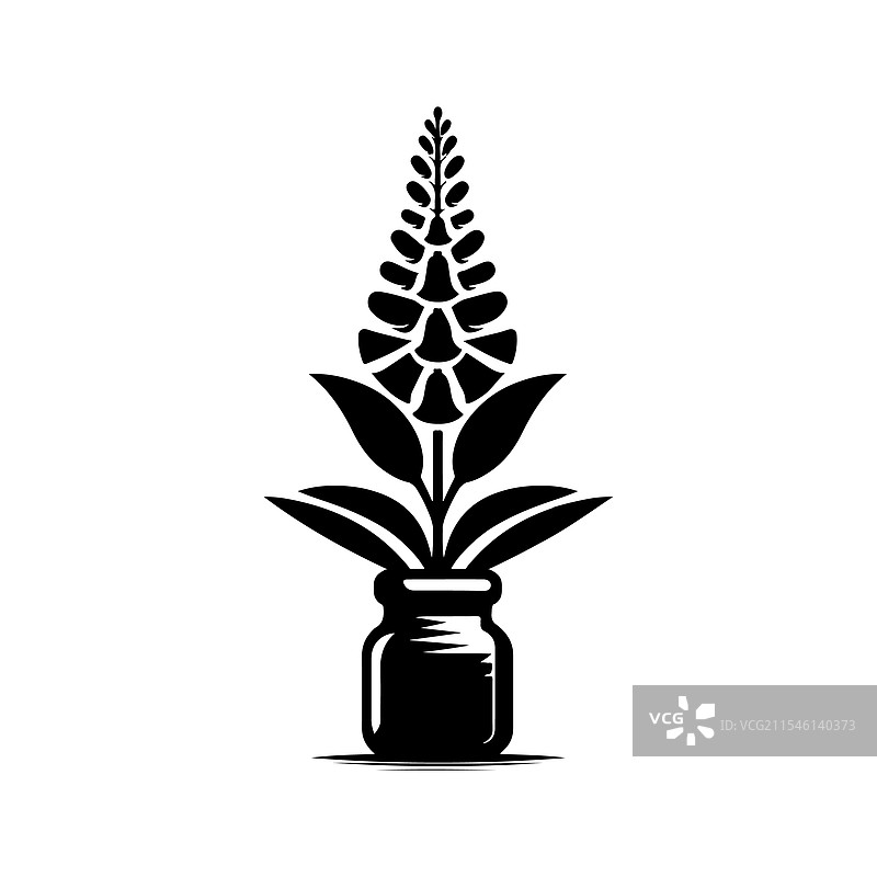 美丽的毛地黄剪影野花图形图片素材