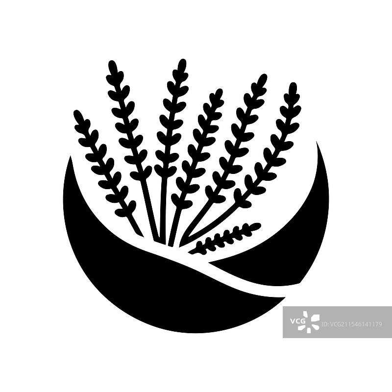 优雅的石南花剪影植物图案图片素材