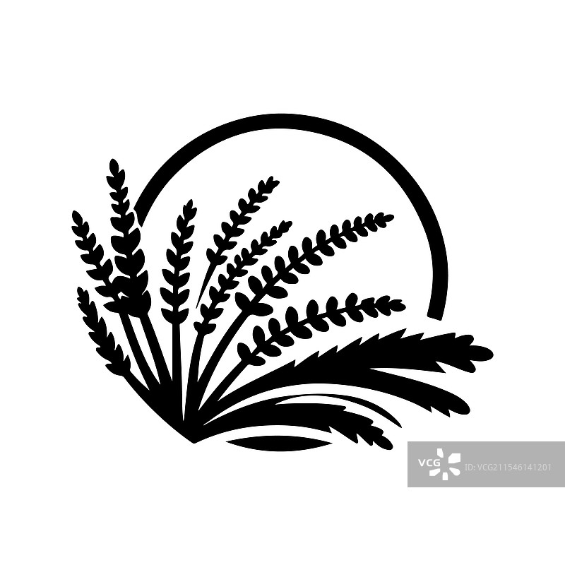 优雅的石南花剪影植物图案图片素材