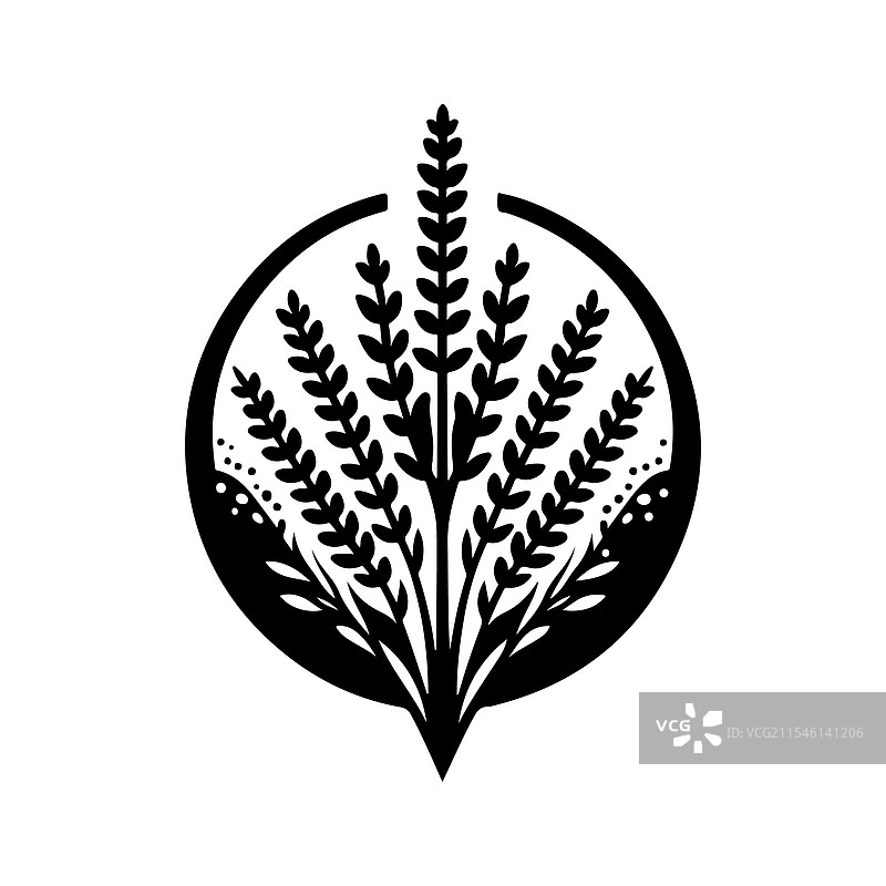 优雅的石南花剪影植物图案图片素材