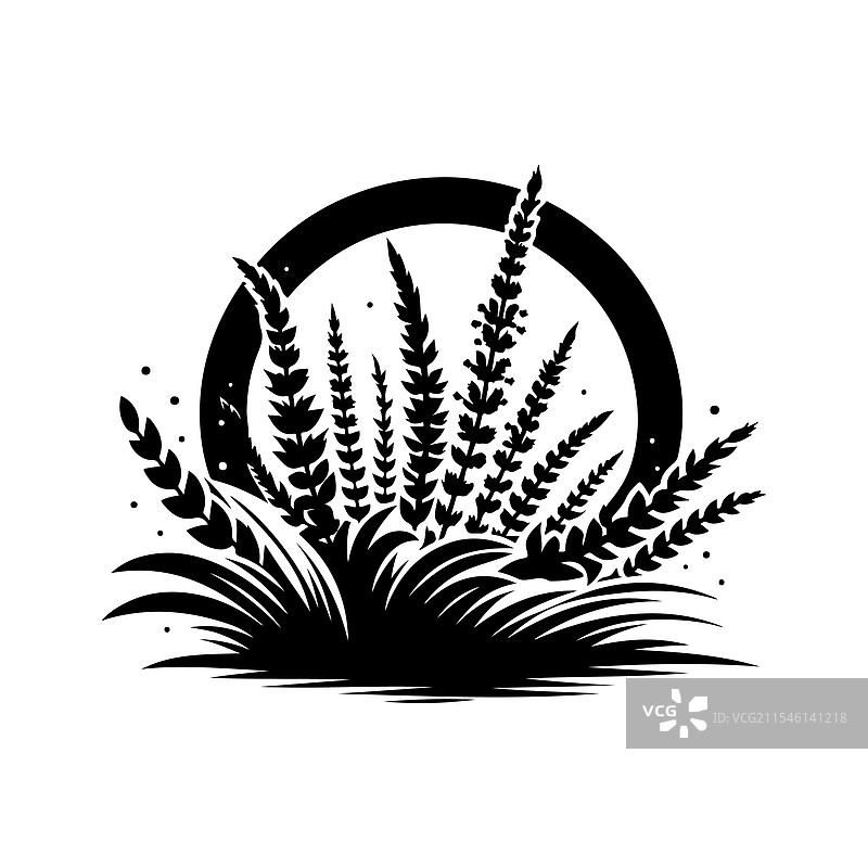 优雅的石南花剪影植物图案图片素材