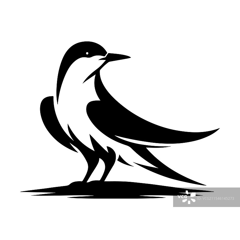 北极燕鸥剪影插图，适用于T恤等商品图片素材