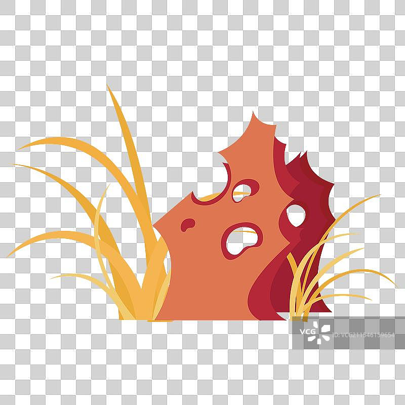 石头植物元素素材图片素材