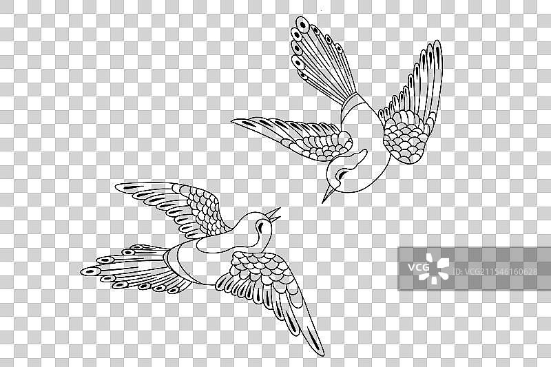 七夕情人节喜鹊插画线稿元素素材图片素材