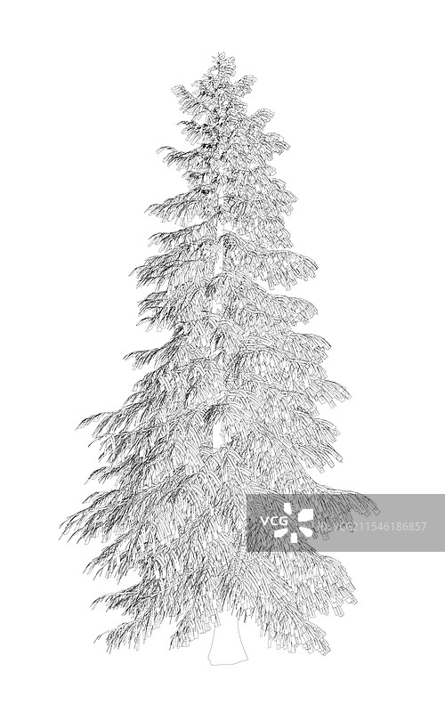 黑色详细圣诞树的轮廓图片素材
