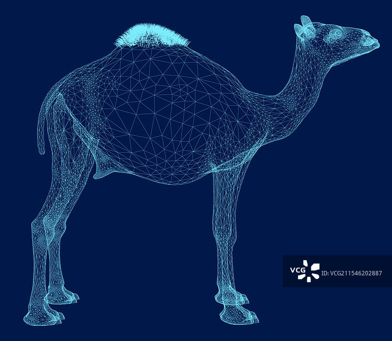 骆驼蓝色线框背景侧视图图片素材