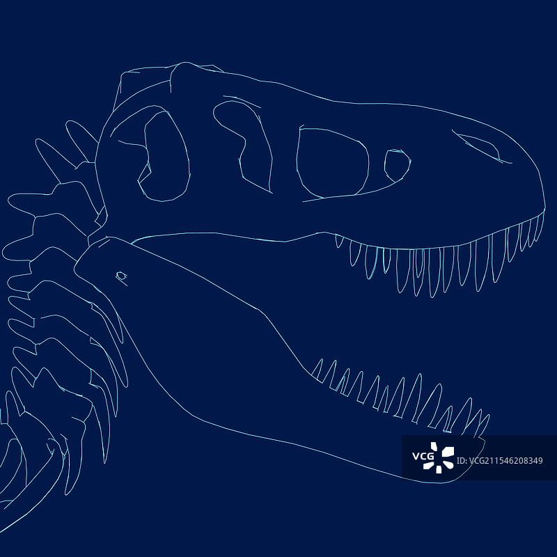 恐龙侧面轮廓头骨图片素材