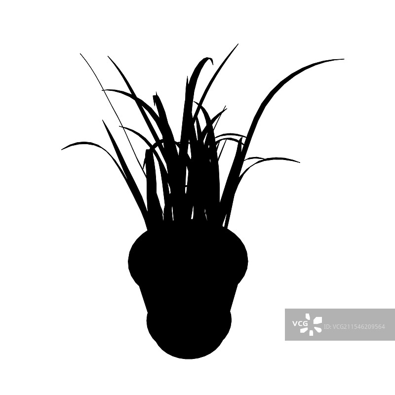 盆栽植物黑色剪影图片素材