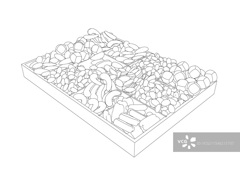 干果和种子的轮廓背景坚果组合图片素材