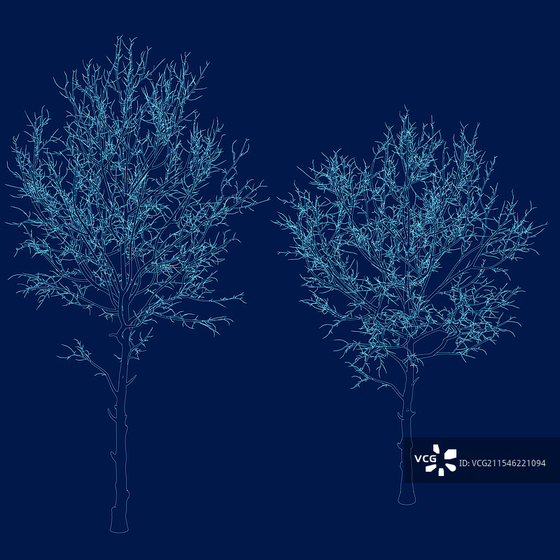 极简风格的CAD树木线条绘图图片素材