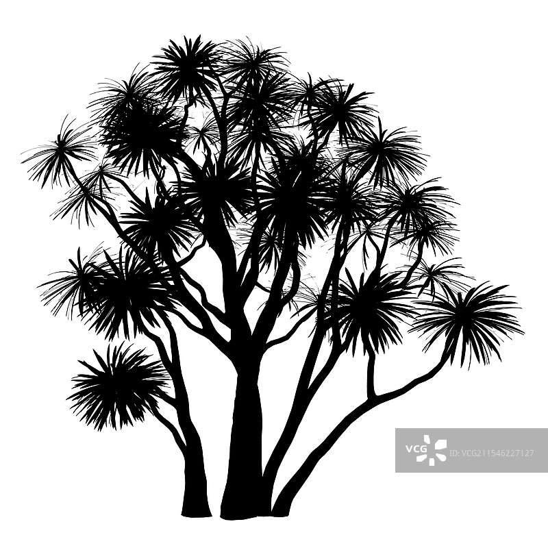 黑色树木孤立在白色背景上图片素材