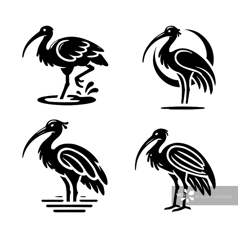 优雅的光泽鹮剪影印刷包图片素材