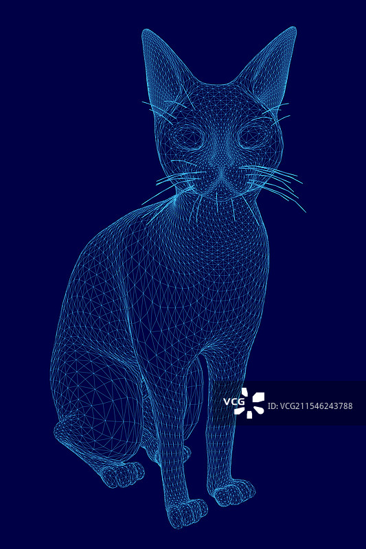 猫坐在蓝色背景上。图片素材