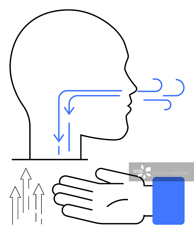 人头侧面图，展示呼吸道和图片素材