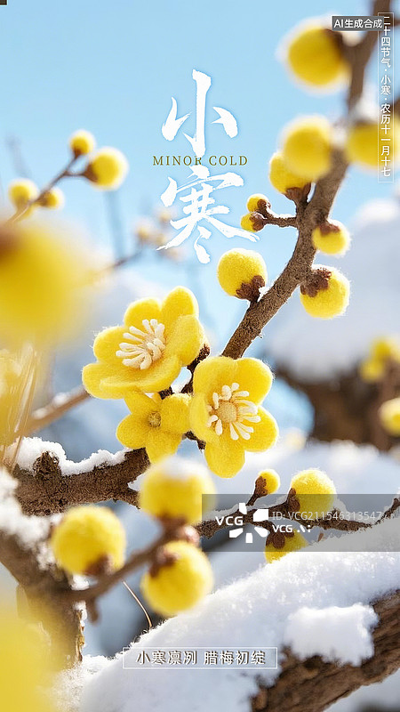 【AI数字艺术】二十四节气之小寒图片素材