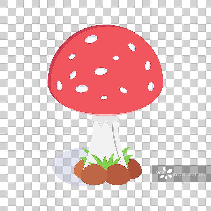蘑菇图片素材