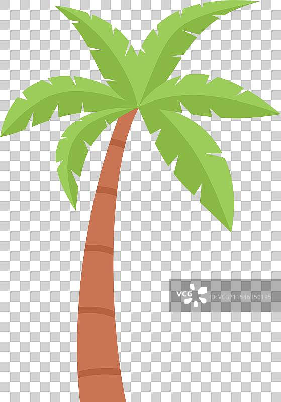 绿色卡通椰子树独自矗立在上面图片素材