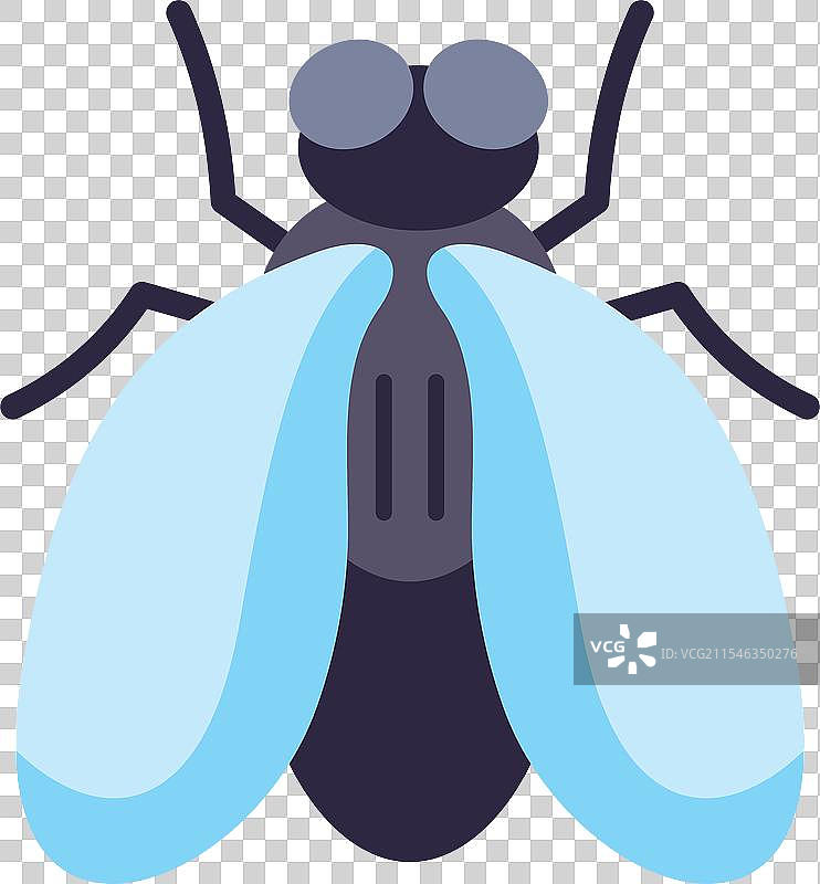 家蝇传播细菌和疾病图片素材