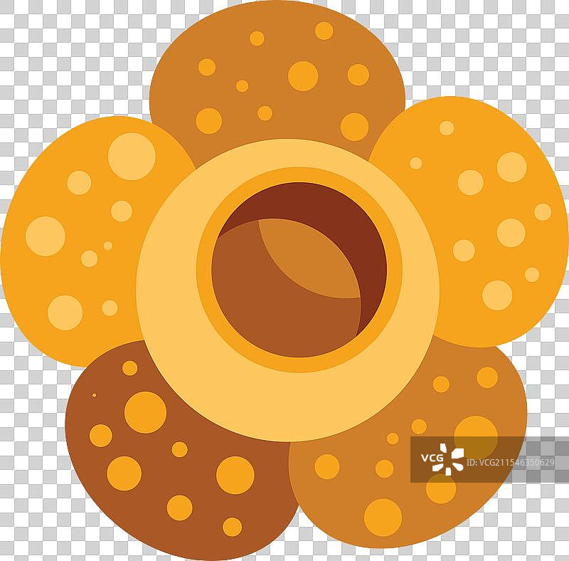 大王花盛开，展现出五彩斑斓的花瓣图片素材