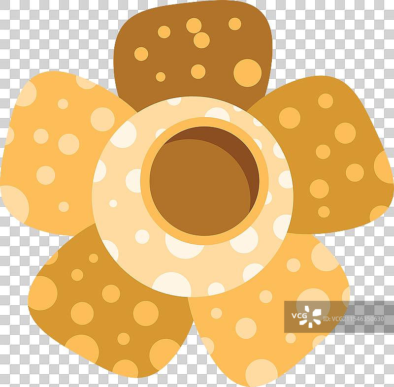 大王花盛开，展现其美丽与魅力图片素材