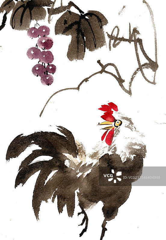 葡萄下的公鸡图片素材