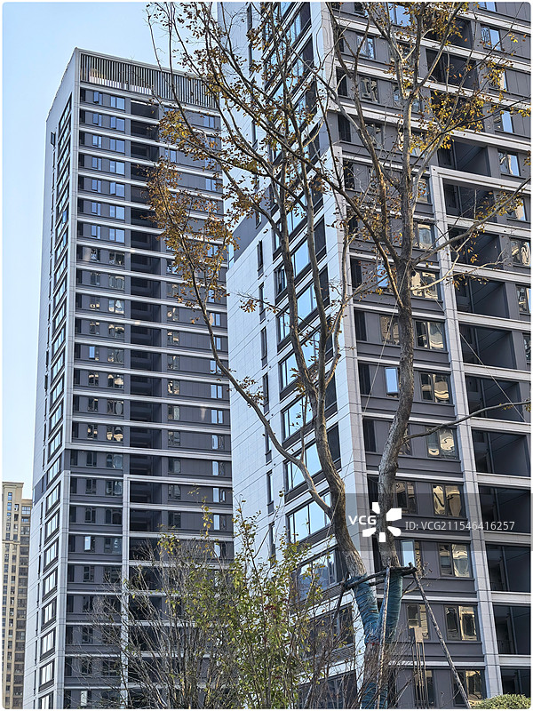 富阳恩波大道街景随拍29图片素材