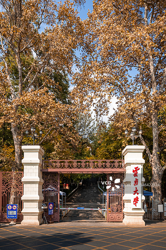 云南大学东陆校区南门图片素材