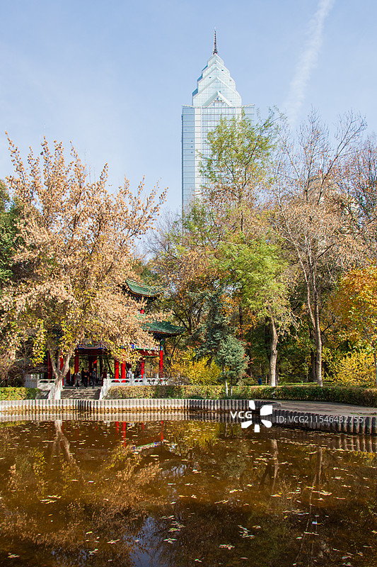 乌鲁木齐人民公园秋景，可见地标建筑中天广场图片素材