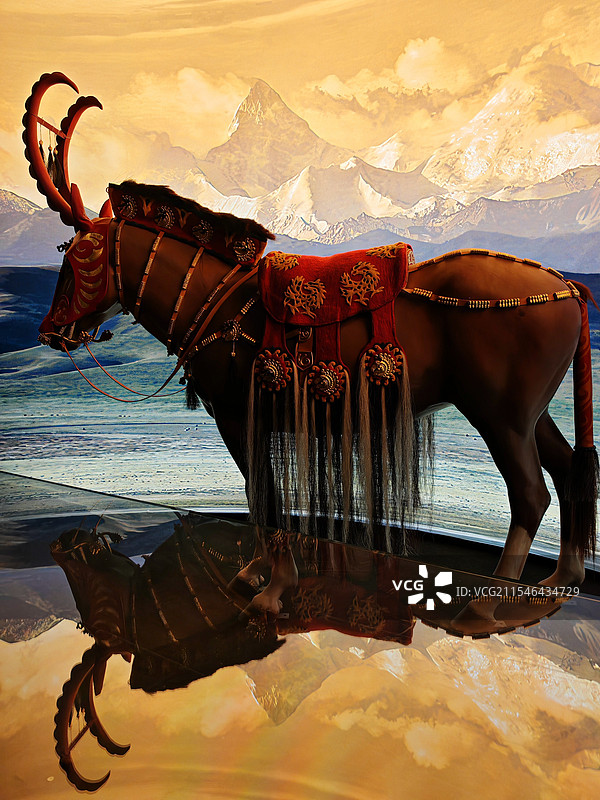 天津博物馆架子上的填充马（哈萨克斯坦）图片素材