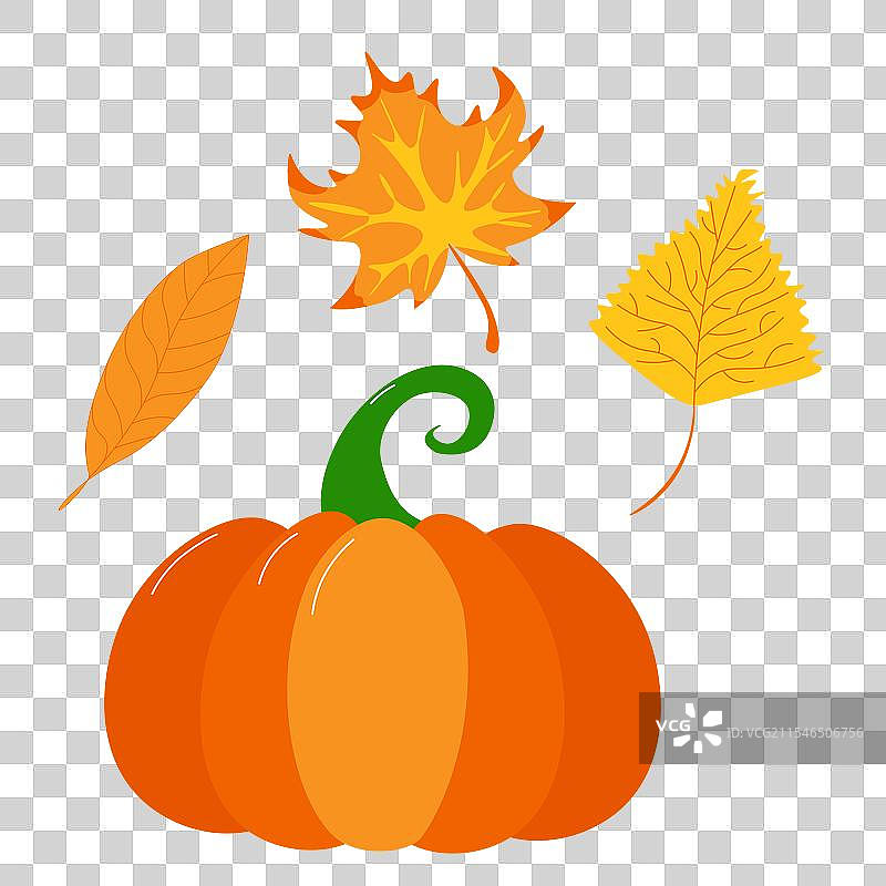 秋季橙色树叶和南瓜的组合图片素材